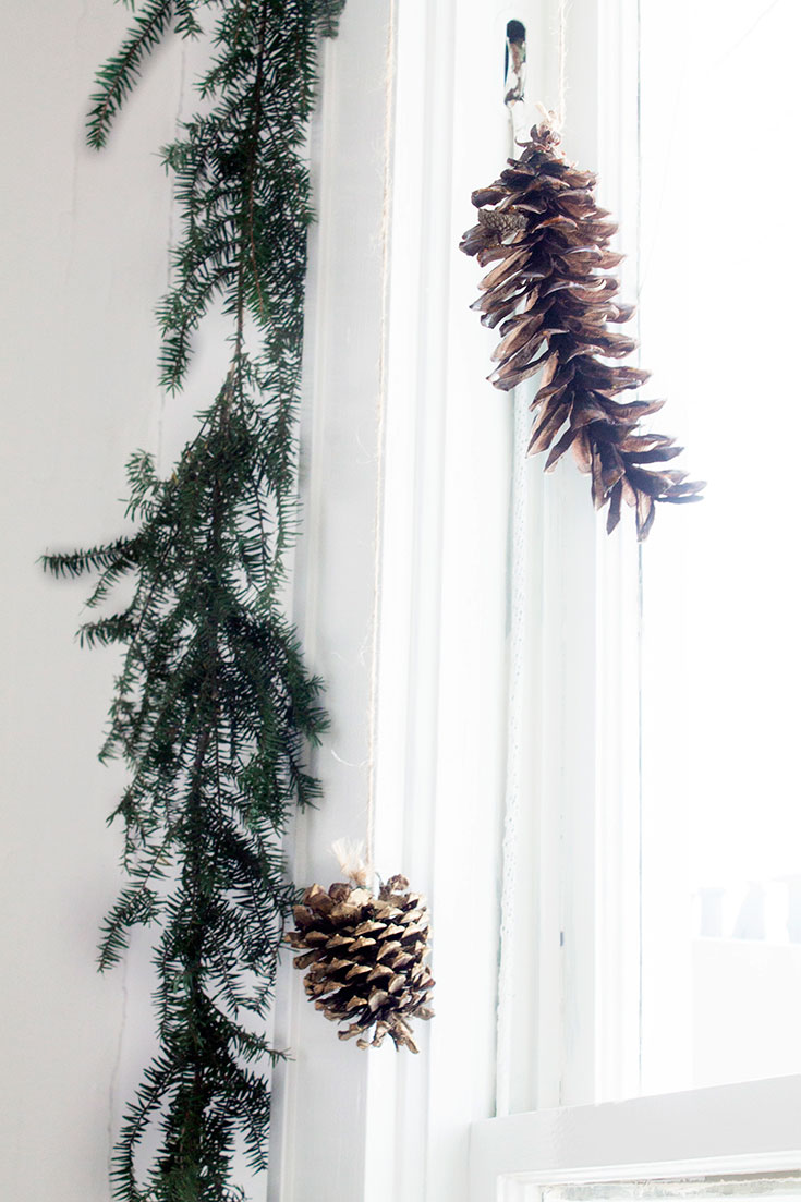 Close up of fresh garland and pinecones. Thanks for sharing.