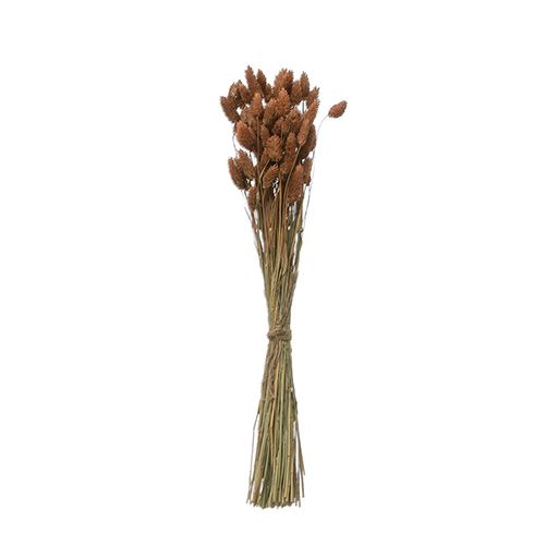 Dried-Canary-Grass