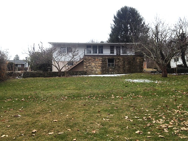 The back yard