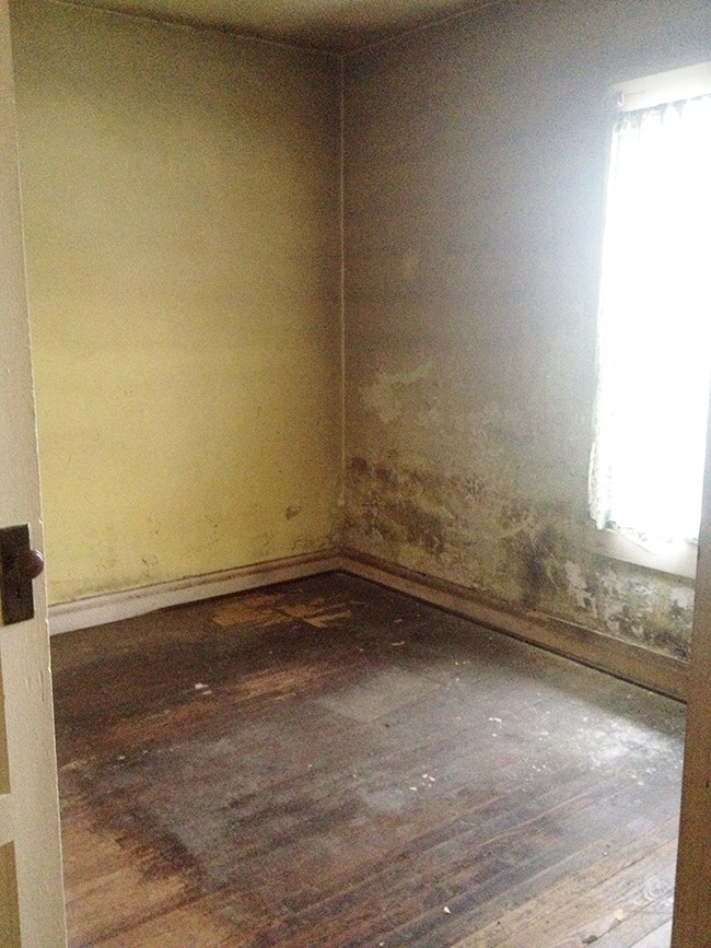 Guest Bedroom 2