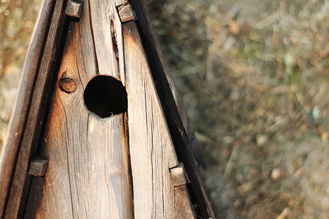 This old birdhouse was probably crafted by the previous owner. He was the high school wood working teacher for years.