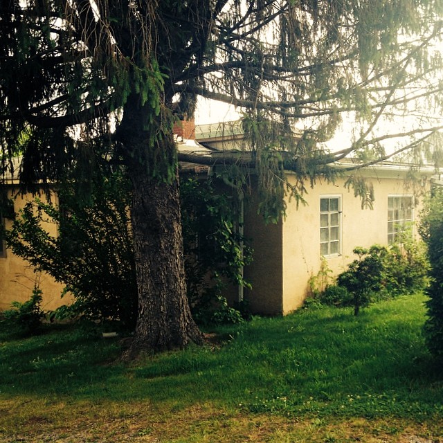 Downtown Bungalow renovation on Instagram, June 4, 2014