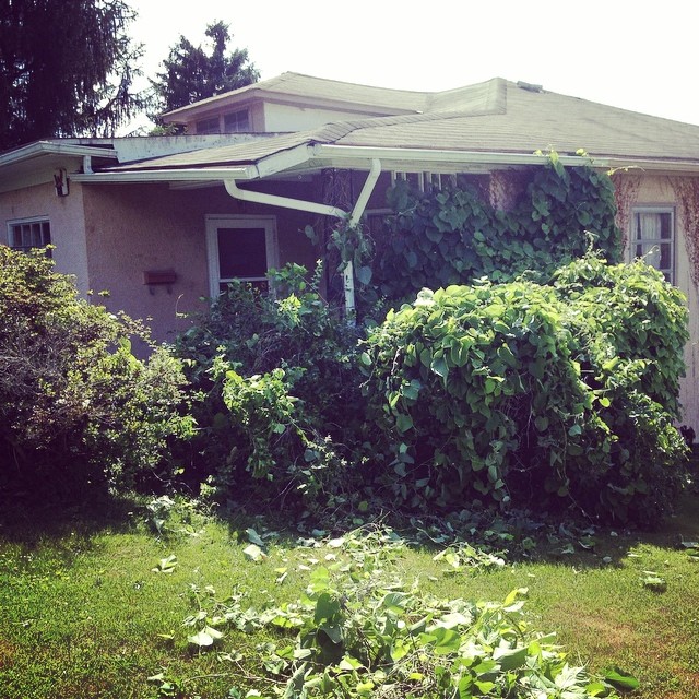 Downtown Bungalow renovation on Instagram, August 17, 2014
